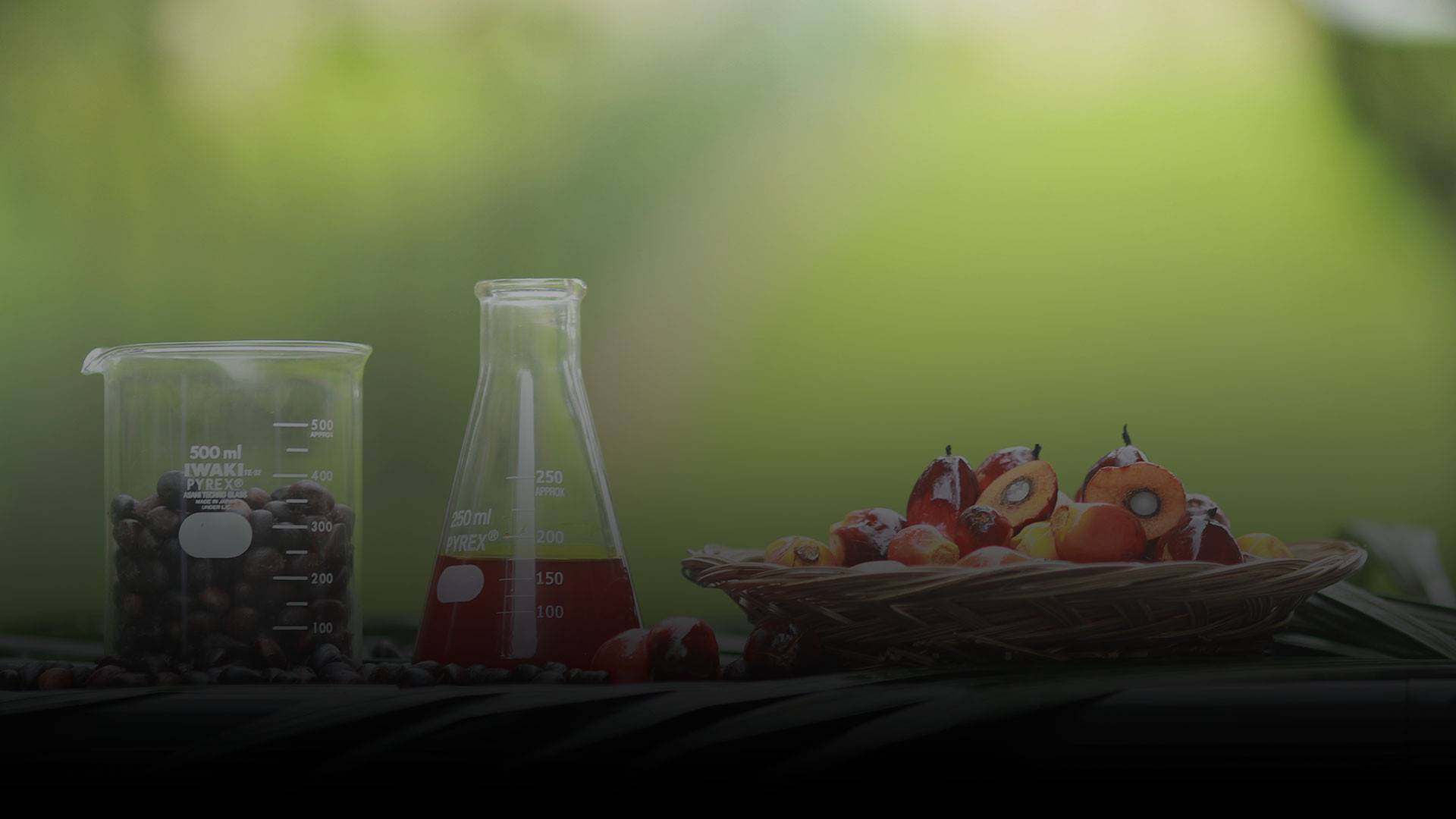 Productive Conversions
Towards Business Sustainability